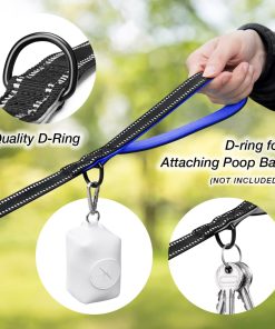 PHOEPET 5 Feet Dog Leash - Dual-Side Reflective - Soft Padded Handle - Fit for Walking, Training or Exploring Hiking, Camping (L, Royal Blue) - 5