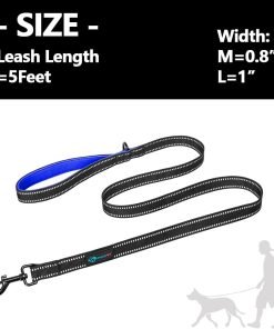 PHOEPET 5 Feet Dog Leash - Dual-Side Reflective - Soft Padded Handle - Fit for Walking, Training or Exploring Hiking, Camping (L, Royal Blue) - 6