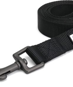Pawtitas 6 FT Solid Color Leash for Puppy Leash Dog Leash Comfortable Handle Dog Training Leash 6 ft Dog Leash Extra Small Dog Leash-Small Dog Leash Black Dog Leash - 1