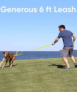 Pawtitas 6 FT Solid Color Leash for Puppy Leash Dog Leash Comfortable Handle Dog Training Leash 6 ft Dog Leash Extra Small Dog Leash-Small Dog Leash Black Dog Leash - 2