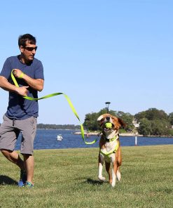 Pawtitas 6 FT Solid Color Leash for Puppy Leash Dog Leash Comfortable Handle Dog Training Leash 6 ft Dog Leash Extra Small Dog Leash-Small Dog Leash Black Dog Leash - 9