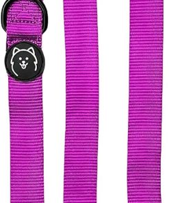 ShawnCo Dream Walk Dog Leash- Premium, Nylon Pet Leash with Soft Neoprene Handle for Small, Medium and Large Dogs - 1