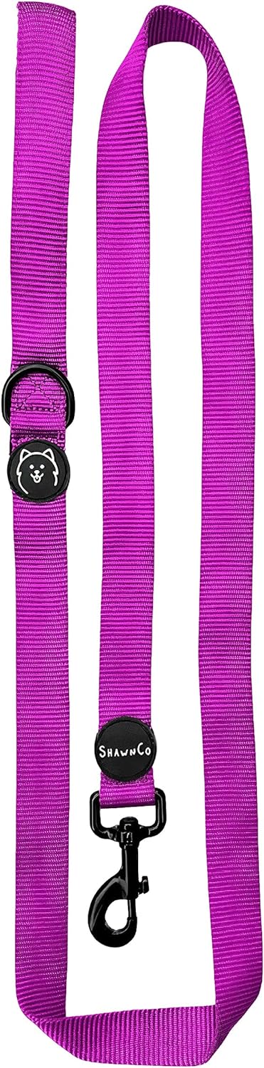 ShawnCo Dream Walk Dog Leash- Premium, Nylon Pet Leash with Soft Neoprene Handle for Small, Medium and Large Dogs - 1 ShawnCo Dream Walk Dog Leash- Premium, Nylon Pet Leash with Soft Neoprene Handle for Small, Medium and Large Dogs - 1