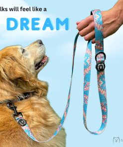 ShawnCo Dream Walk Dog Leash- Premium, Nylon Pet Leash with Soft Neoprene Handle for Small, Medium and Large Dogs - 6