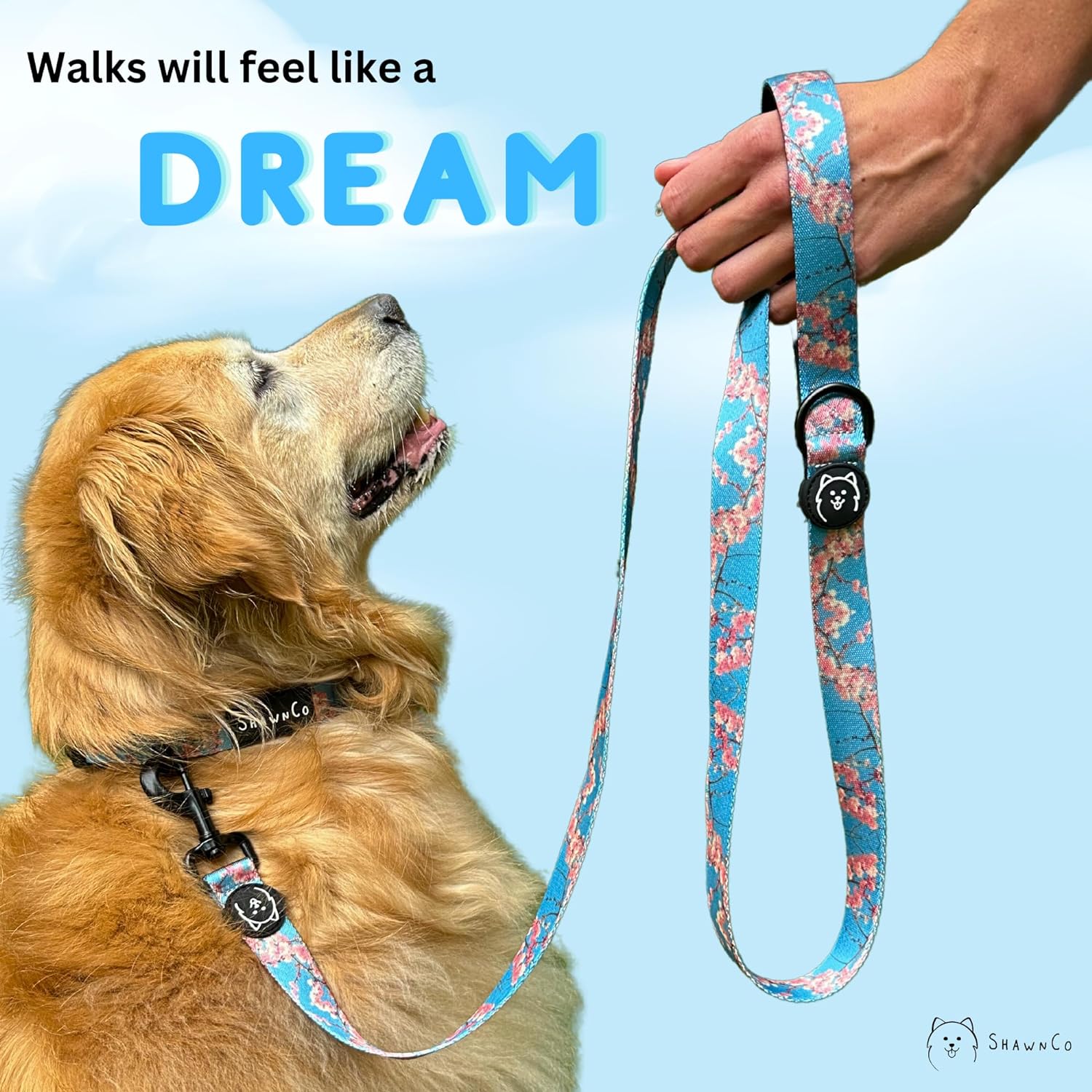 ShawnCo Dream Walk Dog Leash- Premium, Nylon Pet Leash with Soft Neoprene Handle for Small, Medium and Large Dogs - 6 ShawnCo Dream Walk Dog Leash- Premium, Nylon Pet Leash with Soft Neoprene Handle for Small, Medium and Large Dogs - 6