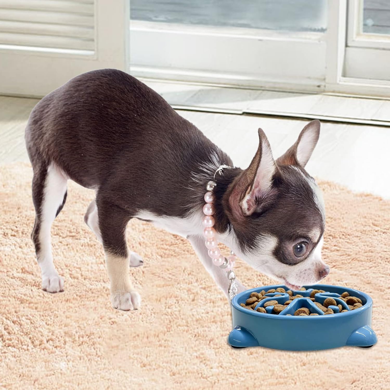 Vannon 2 Pack Slow Feeder Dog Bowls Non Slip Puppy Bowl Durable Dog Puzzle Feeder Bloat Stop Dog Food Bowls for Puppy and Small Dogs, BPA Free, 1 Cup - 8