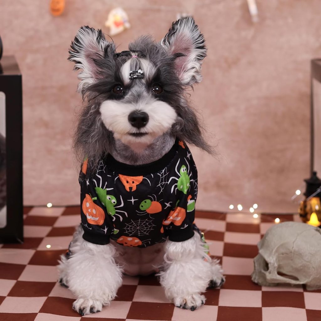 CuteBone Fleece Dog Halloween Pajamas Clothes Puppy Jammies Pet Apparel Cat Onesie for Chihuahua Yorkie Frenchies P307S - 9