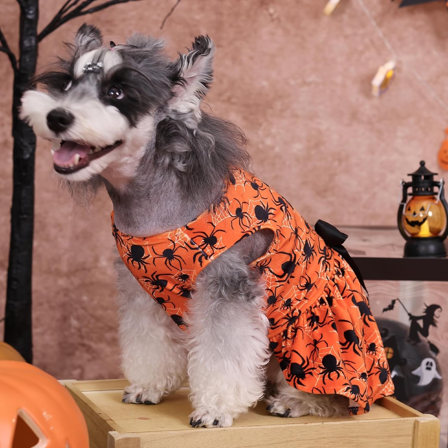 CuteBone Halloween Dog Dresses Velvet Holiday Small Dogs Clothes Onesie Pet Apparel Girl Puppy Skirt with Bow Hair Rope CVA46XXS - 7