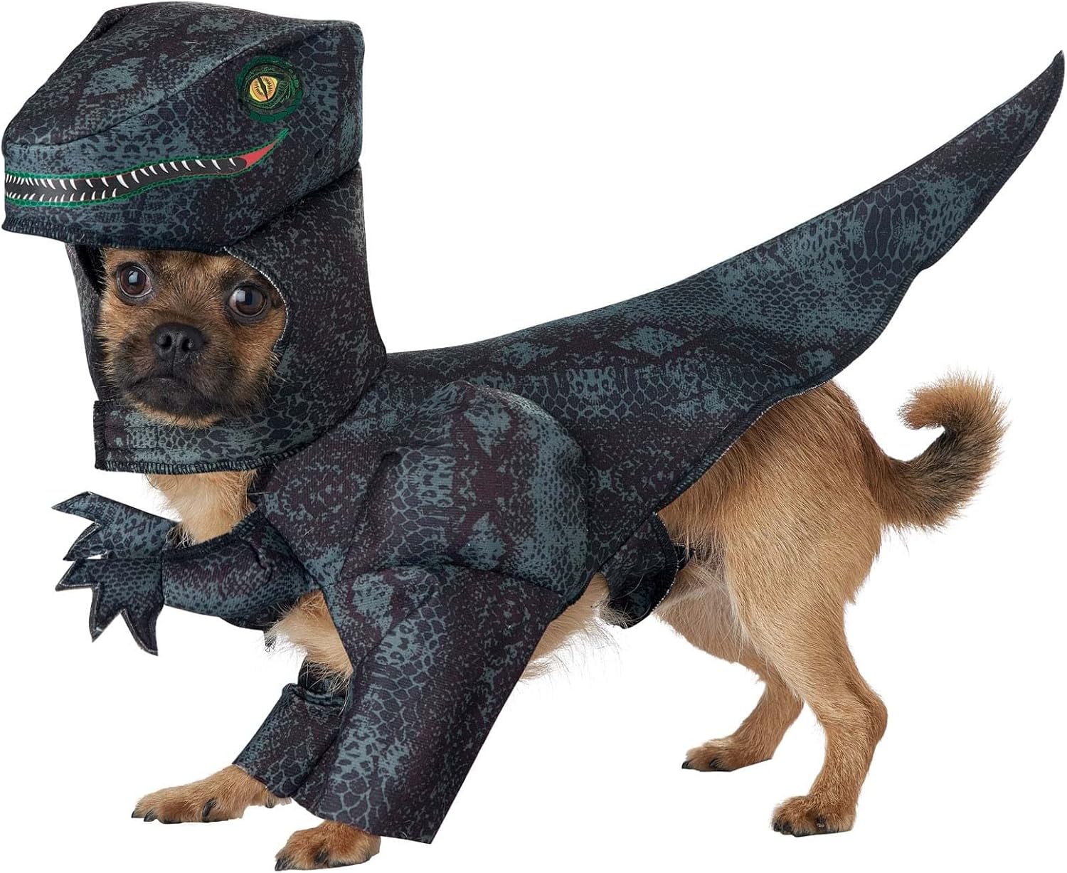 California Costumes Dog Pupasaurus Rex Costume - X-Small - Gray - 3