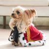 Lovelyshop pet Serial Lux Fur Red Cat Dog Cloak for Halloween Costumes, King Queen Prince and Princess Cosplay-XS - 1