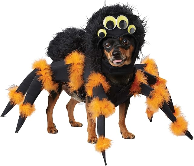 Spider Pup Costume - 2