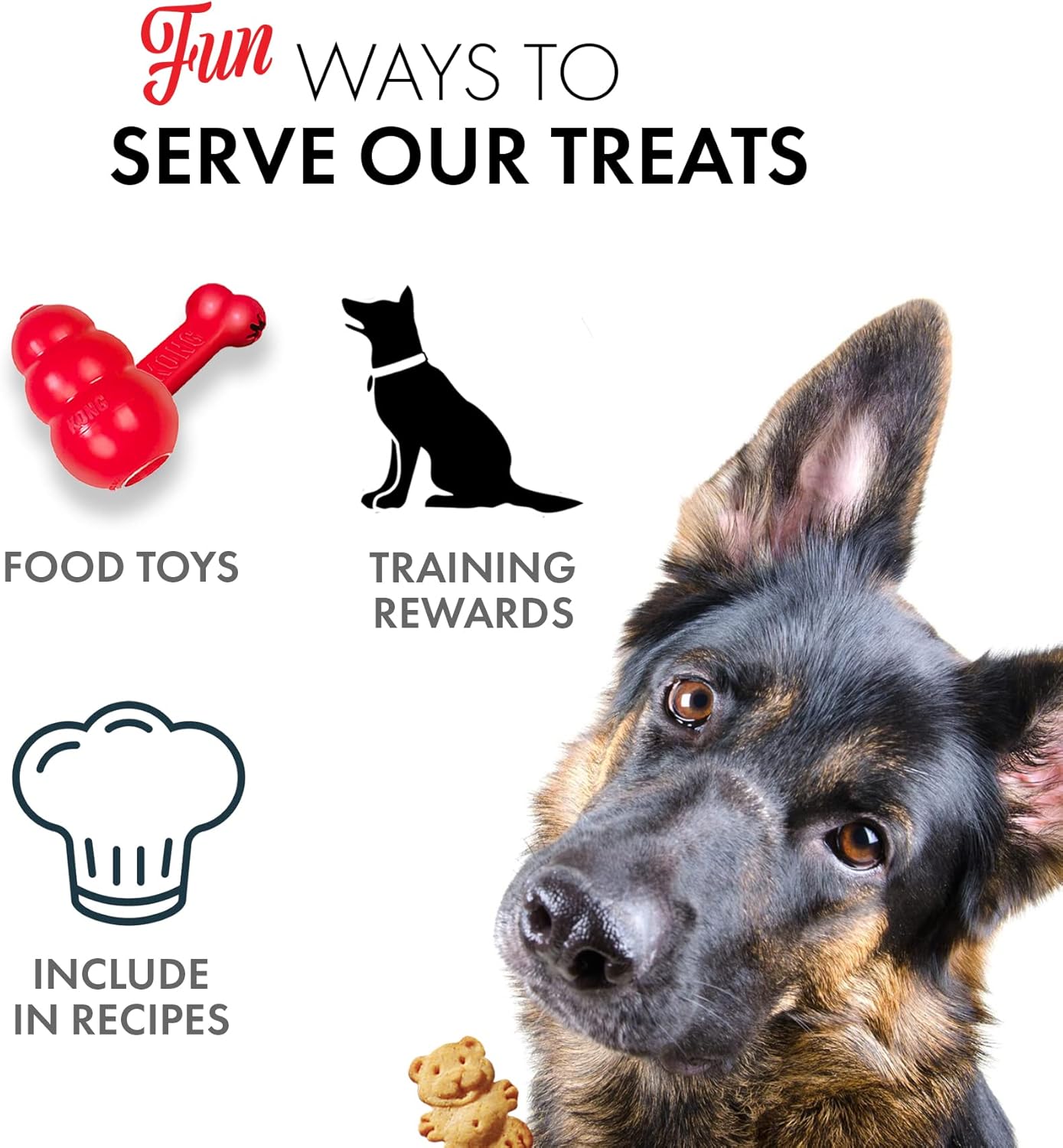 Grandma Lucy's Organic Oven Baked Dog Treats - Banana & Sweet Potato, 14 oz - 5