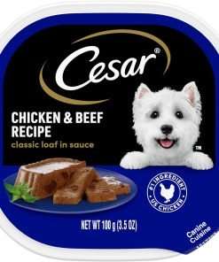 CESAR Adult Wet Dog Food Classic Loaf in Sauce Chicken & Beef Recipe, 3.5 oz. Easy Peel Trays, Pack of 24 - 1