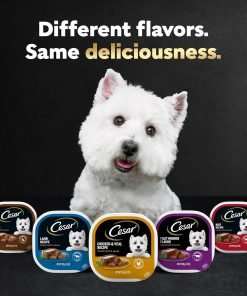 CESAR Adult Wet Dog Food Classic Loaf in Sauce Chicken & Beef Recipe, 3.5 oz. Easy Peel Trays, Pack of 24 - 8