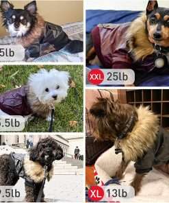 LESYPET Dog Leather Jacket for Small Dogs, Small Dog Jacket Dog Coat Double Layer with Warm Fleece Lined for Small Dogs Puppy Cat, Red Small - 5