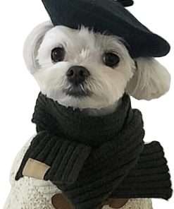 Dog Cat Beret Wool Hat Headband French Artist Beanie Beret Pet Dog Christmas Costume Hair Accessory Photo Props - 1