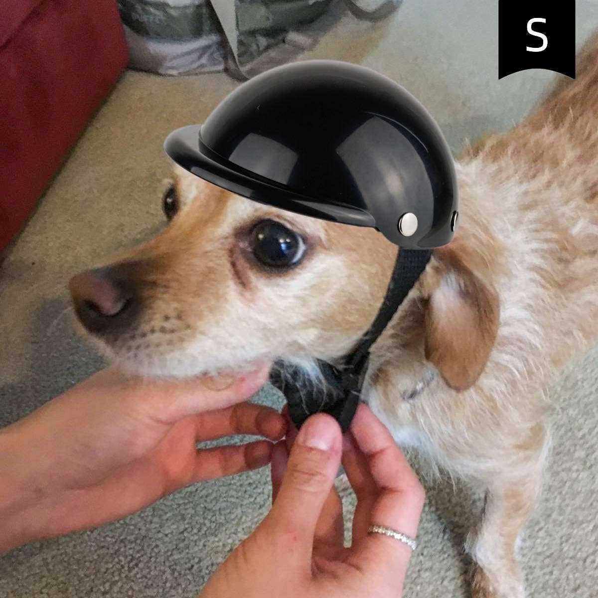 Enjoying Pet Helmet, Hard Hat for Small Dogs, Motorcycle-Bike Hat for Cat, Outdoor Riding Puppy Cap, Black, Small - 2