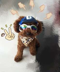 Pet Dog Baseball Cap Sport Cap Hat - Outdoor Hat Sun Protection Summer Cap for Small Medium Large Dog (Small Cap, Blue) - 2