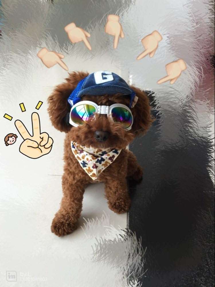 Pet Dog Baseball Cap Sport Cap Hat - Outdoor Hat Sun Protection Summer Cap for Small Medium Large Dog (Small Cap, Blue) - 2