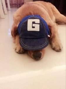 Pet Dog Baseball Cap Sport Cap Hat - Outdoor Hat Sun Protection Summer Cap for Small Medium Large Dog (Small Cap, Blue) - 5