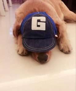 Pet Dog Baseball Cap Sport Cap Hat - Outdoor Hat Sun Protection Summer Cap for Small Medium Large Dog (Small Cap, Blue) - 5