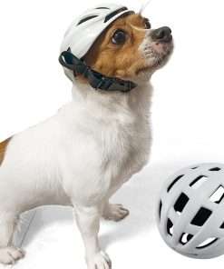 Small Medium Dog Helmet,Pet Helmet for Small Medium Dog Outdoor Driving Walking, Pet Helmets Cap with Adjustable Blet for Doggies Motorcycles, Medium - 1