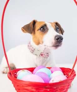 ARING PET Easter Dog Collar-Cute Easter Eggs Dog Collar, Adjustable Easter Pink Striped Pet Collars Puppy Collar with Quick Release Buckle for Girl&Boy Dogs - 4
