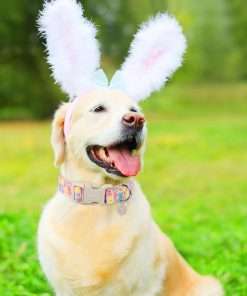 DOGWONG Easter Dog Collar,Cute Bunny Eggs Dog Collar Pink Babbit Pet Collar Girl Dog Collar Puppy Adjustable Soft Dog Collar for Small Dog - 5