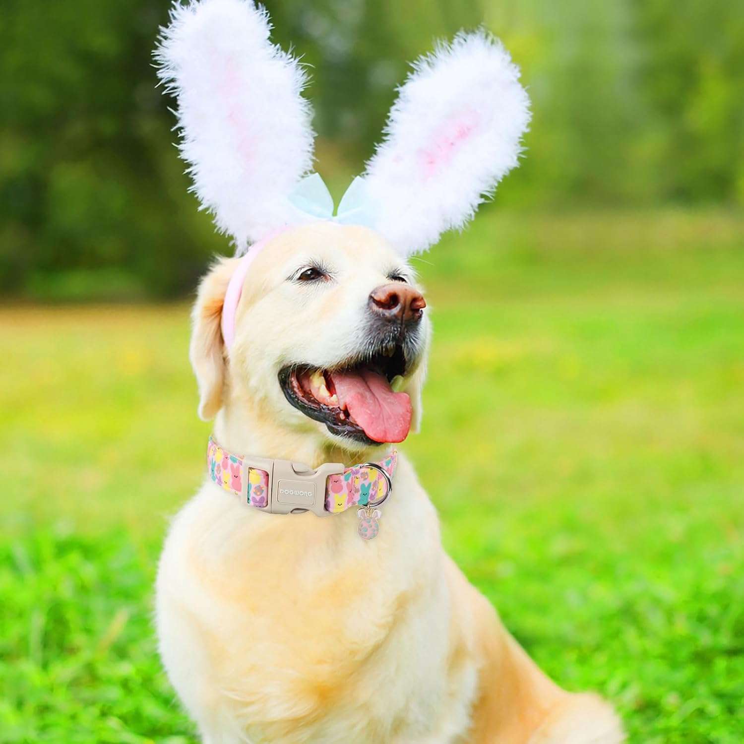 DOGWONG Easter Dog Collar,Cute Bunny Eggs Dog Collar Pink Babbit Pet Collar Girl Dog Collar Puppy Adjustable Soft Dog Collar for Small Dog - 5