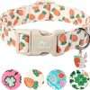 Easter Dog Collar, Cute Carrot Print Dog Collars,Soft Durable Adjustable Colorful Carrot Pet Collar, Cute Easter Collar Gifts for Small Medium Large Dogs - 1