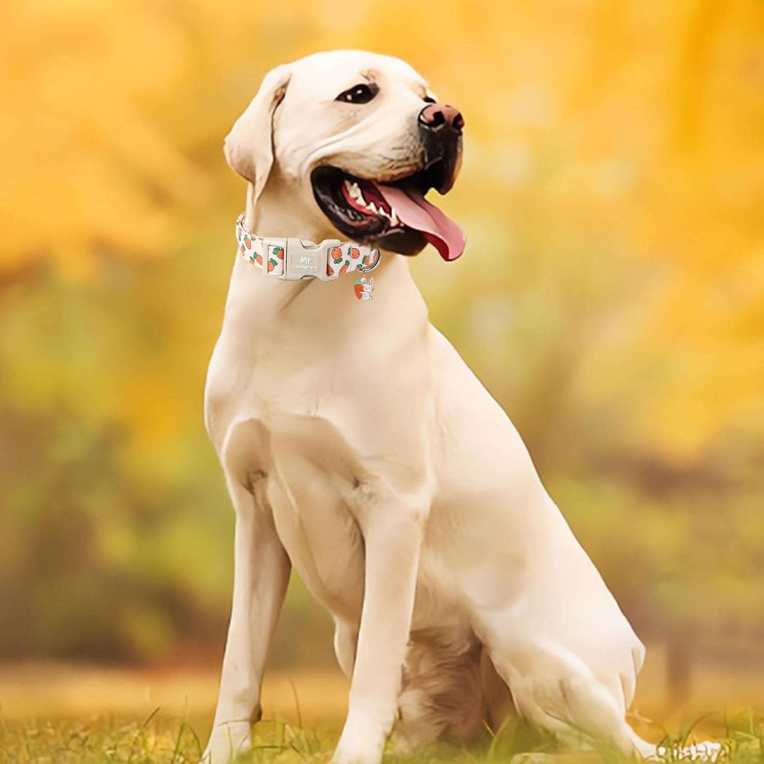 Easter Dog Collar, Cute Carrot Print Dog Collars,Soft Durable Adjustable Colorful Carrot Pet Collar, Cute Easter Collar Gifts for Small Medium Large Dogs - 4