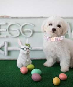 Elegant little tail Easter Dog Collar, Bunny Eggs Print Dog Collar Pet Collar Pink Collar Girl or Boy Dog Collar Puppy Pet Gift Adjustable Dog Collar for X-Small Dogs - 4