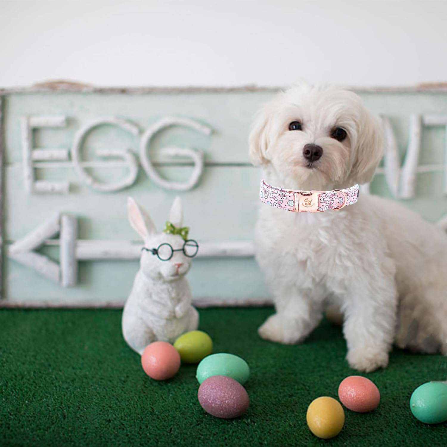 Elegant little tail Easter Dog Collar, Bunny Eggs Print Dog Collar Pet Collar Pink Collar Girl or Boy Dog Collar Puppy Pet Gift Adjustable Dog Collar for X-Small Dogs - 4