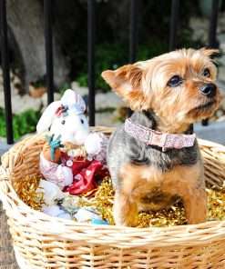 Elegant little tail Easter Dog Collar, Bunny Eggs Print Dog Collar Pet Collar Pink Collar Girl or Boy Dog Collar Puppy Pet Gift Adjustable Dog Collar for X-Small Dogs - 5