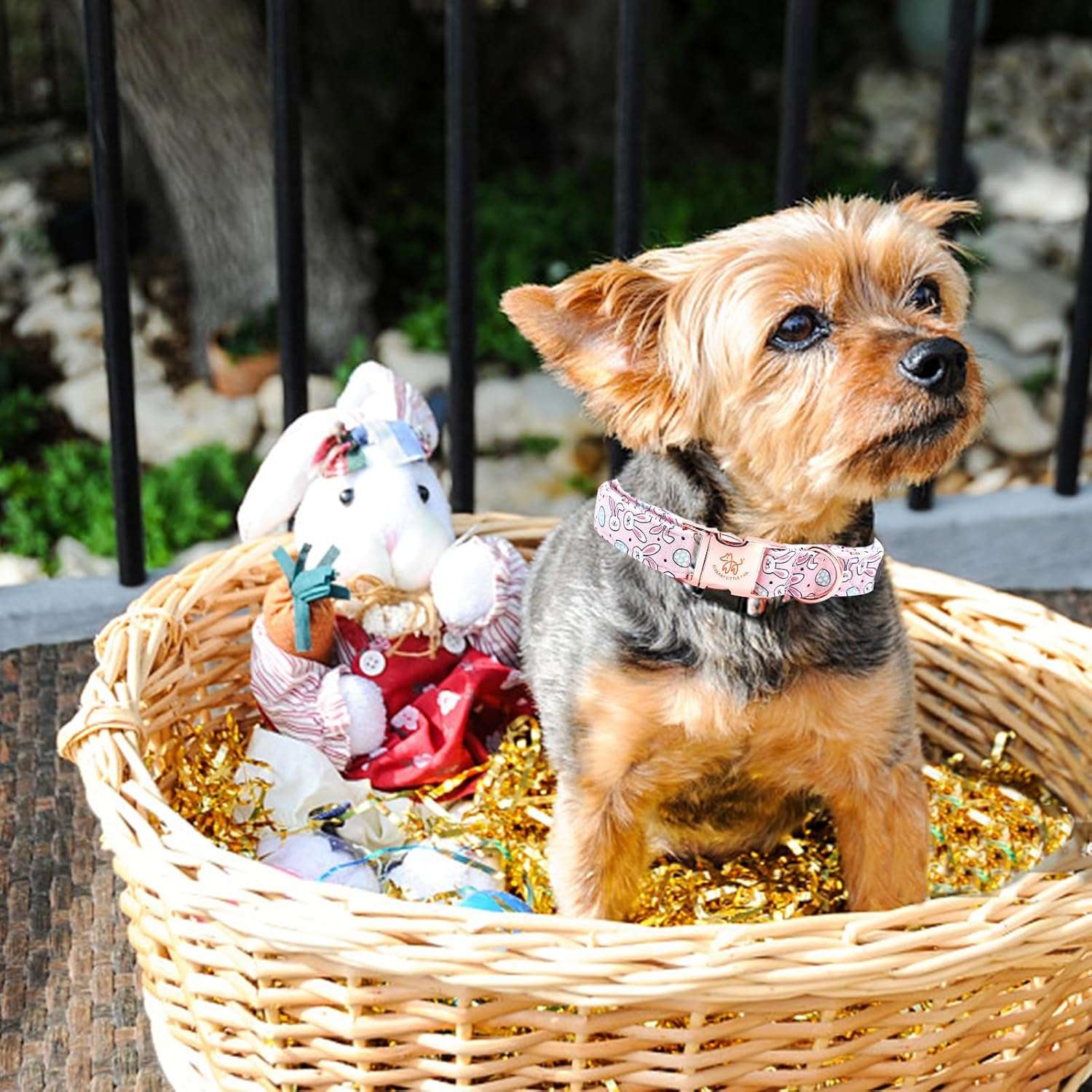 Elegant little tail Easter Dog Collar, Bunny Eggs Print Dog Collar Pet Collar Pink Collar Girl or Boy Dog Collar Puppy Pet Gift Adjustable Dog Collar for X-Small Dogs - 5