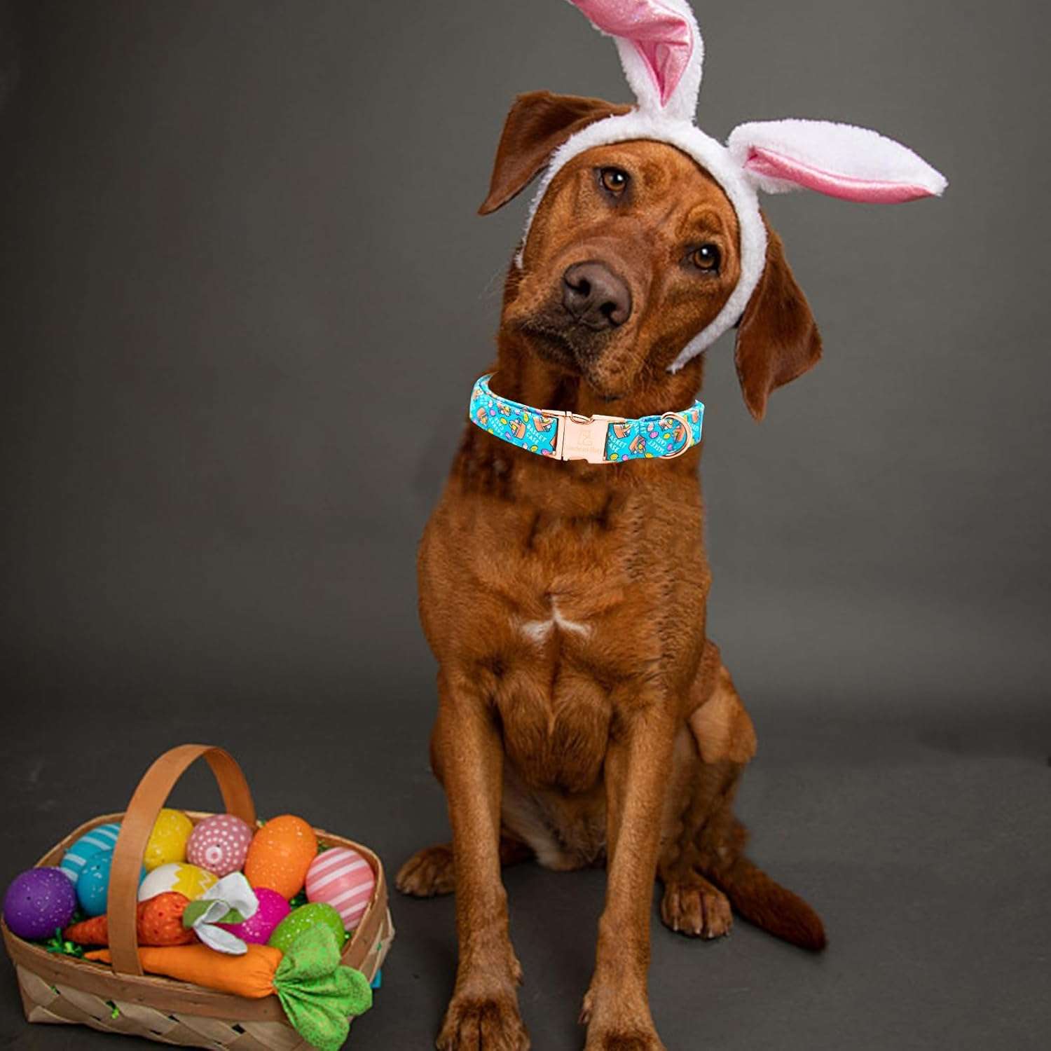 Lionheart glory Easter Dog Collar Colorful Collar for X-Small Dog Collars Easter Egg Print Dog Collars Spring Female or Male Pet Gift Adjustable Heavy-Duty Puppy Collar Holiday - 4