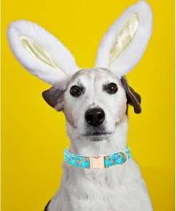 Lionheart glory Easter Dog Collar Colorful Collar for X-Small Dog Collars Easter Egg Print Dog Collars Spring Female or Male Pet Gift Adjustable Heavy-Duty Puppy Collar Holiday - 5