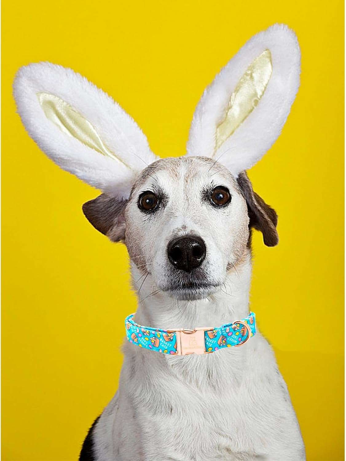 Lionheart glory Easter Dog Collar Colorful Collar for X-Small Dog Collars Easter Egg Print Dog Collars Spring Female or Male Pet Gift Adjustable Heavy-Duty Puppy Collar Holiday - 5