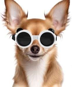 Dog Goggles for Small Breed UV-Wind-Dust Protection Puppy Sunglasses with Adjustable Strap - White - 1