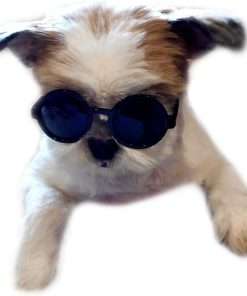 G016 Small Breed Dog up to 15lbs Pet Cat Round Tiny Sunglasses (Black) - 5