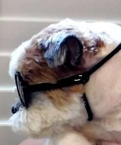G016 Small Breed Dog up to 15lbs Pet Cat Round Tiny Sunglasses (Black) - 8