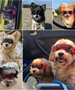 PETLESO Dog Goggles Small Breed, Dog Sunglasses Small Breed Dog Eye Sun Light Protection, UV Protection Goggles for Dog with Adjustable Straps, Small Pink - 5