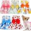 5 Pieces Dog Clothes Girl Dog Dresses Floral Puppy Dresses Pet Cat Princess Bowknot Clothes Cute Puppy Summer Outfits for Yorkie Female Cat Pets, 5 Styles - 1