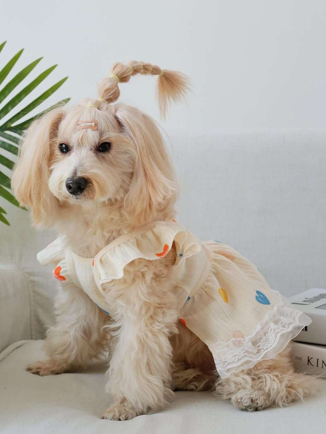 QWINEE Cute Heart Pattern Dog Dress Ruffle Trim Princess Dress Cat Vest Dress Lace Trim Summer Dress Pet Clothes for Small Medium Cats Dogs Kitten Puppy - 3