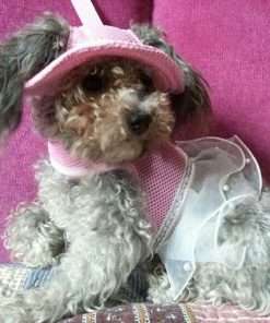 Round Brim Princess Hat Visor Hat Pet Dog Mesh Porous Sun Hat with Ear Holes for Small, Extra Small Dog Teddy, Pug, Chihuahua, Shih Tzu, Yorkshire Terriers, Papillon Pink L - 4