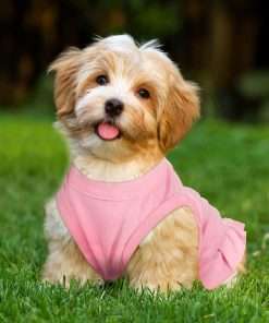 Weewooday 6 Pieces Dog Dresses Shirt Skirt Dog Sleeveless Dress Breathable Pet Shirts with Ruffles Pet Sundress Outfits for and Cats - 6