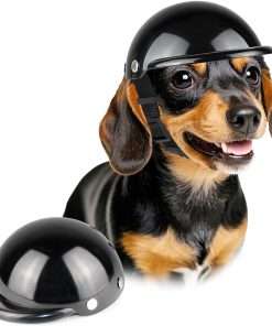 Lesypet Dog Helmet, Motorcycle Safety Hat for Cats and Small Dogs' Biking Cycling, Black S - 1