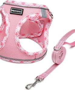 Mercano Soft Mesh Dog Harness and Leash Set, No-Chock Step-in Reflective Breathable Lightweight Easy Walk Vest Harnesses with Safety Buckle for Small Dogs, Cats - 1