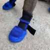 Dog Boots Breathable Protect Paws Soft Nonslip Soles Set of 4 Size X-Small Color Blue - 1