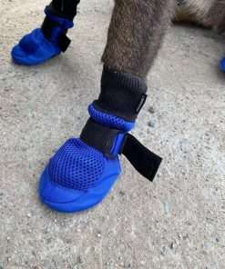 Dog Boots Breathable Protect Paws Soft Nonslip Soles Set of 4 Size X-Small Color Blue - 1